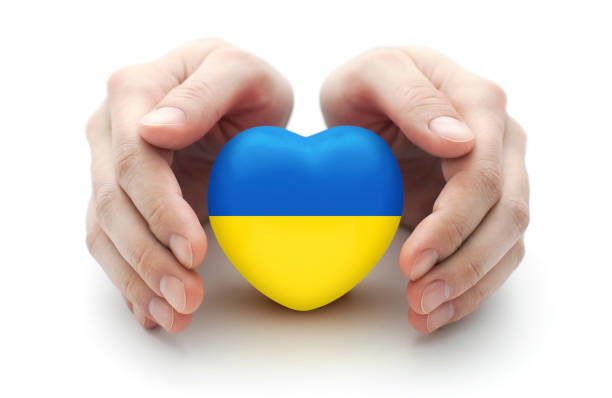 istock Hands covering Ukrainian heart on white background 1377989521