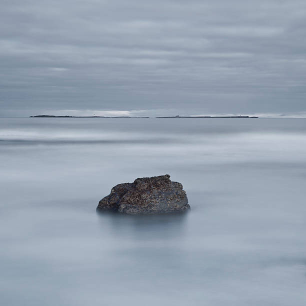 istock stepping stone to the farne islands 137800686