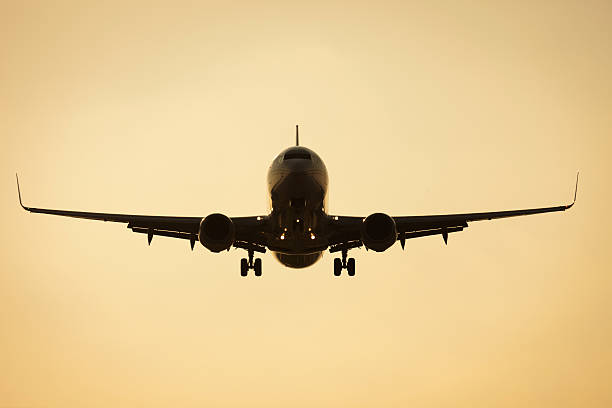 istock Boeing 737-800 passenger aircraft landing 137801393