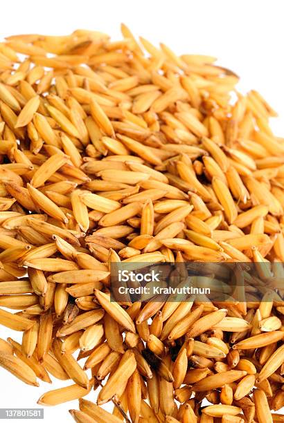 Foto de Arroz Em Fundo Branco e mais fotos de stock de Arroz - Alimento básico - Arroz - Alimento básico, Agricultura, Alimentação Saudável