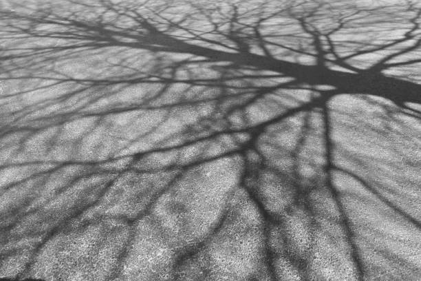istock Veins of life 1378032339