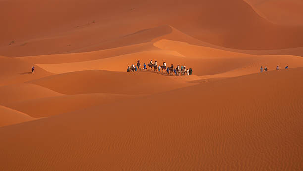 Caravan in the Sahara Desert Caravan in the Sahara Desert sahel stock pictures, royalty-free photos & images