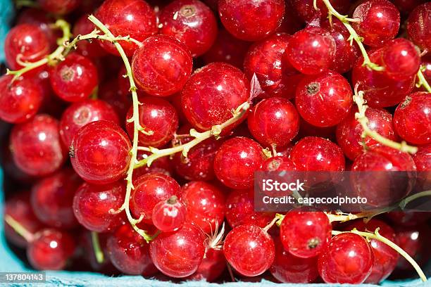 Johannisbeere Für Verkauf Stockfoto und mehr Bilder von Bauernmarkt - Bauernmarkt, For Sale - englischer Satz, Fotografie