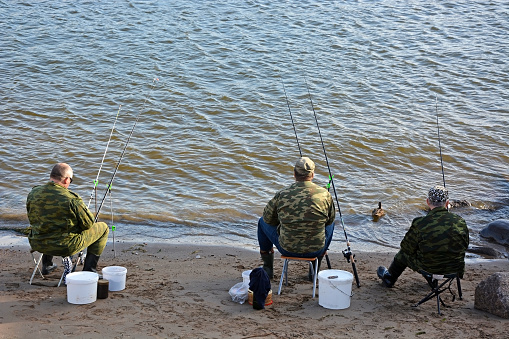 A group of fishermen are fishing on the shore of the Gulf of Finland in the evening, Russia, St. Petersburg