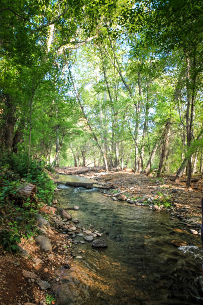 istock Quiet Stream  near Sedona 1378051582