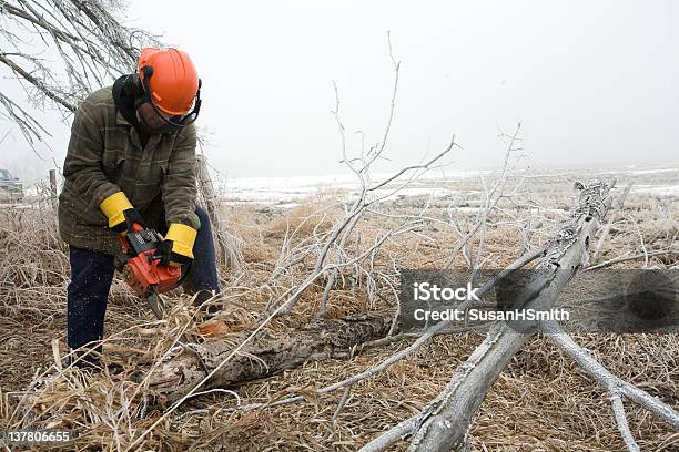 Taglio Di Legno Uomo Con Motosega - Fotografie stock e altre immagini di Adulto - Adulto, Albero, Ambientazione esterna