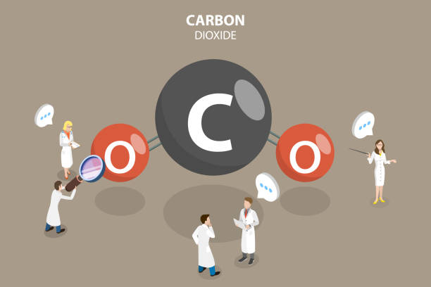 3d изометрический плоский вектор концептуальная иллюстрация молекулы углекислого газа - inorganic stock illustrations