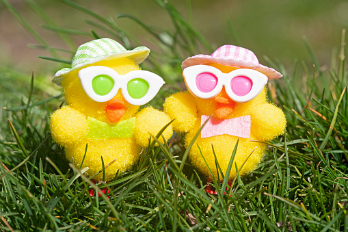 - Easter symbolism, a felt chick hatched from a blue Easter egg