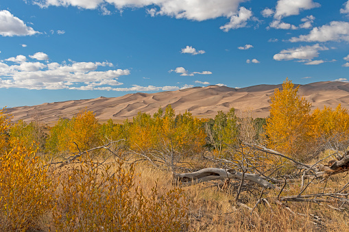 Sand Dunes Rising Out of the High Plains in Autumn in Great Sand Dunes National Park in Colorado
