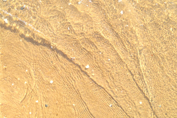 istock Sand with stones and sea water 1378080724