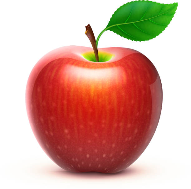 red apple Vector illustration of detailed big shiny red apple apple stock illustrations
