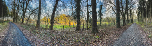 istock A path next to a forest and a river in winter. 1378108870