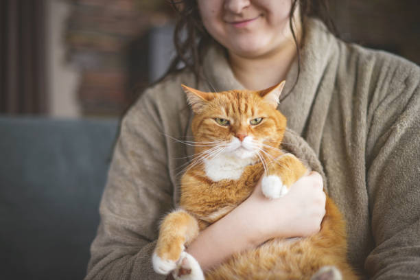 istock young woman sitting on sofa with cat 1378116810