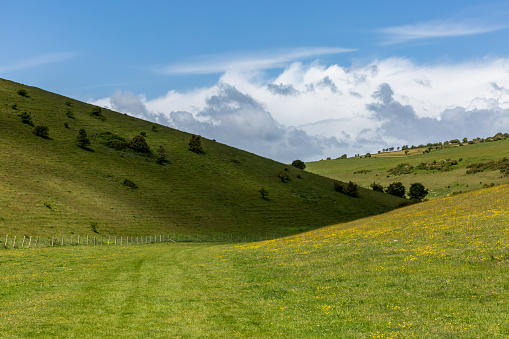 A Rural Sussex Landscape on a Sunny Spring Day