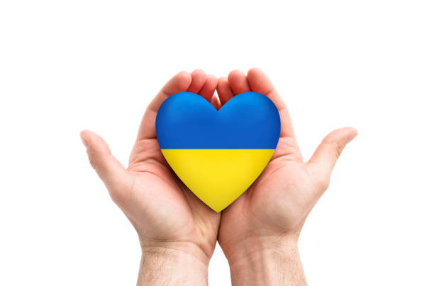 istock Ukrainian heart in hands isolated on white background with clipping path 1378137342
