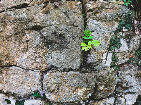 stone wall background