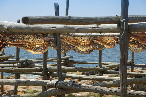 Wooden dryer for fish, filled with catch, on the shores of the Atlantic Ocean.