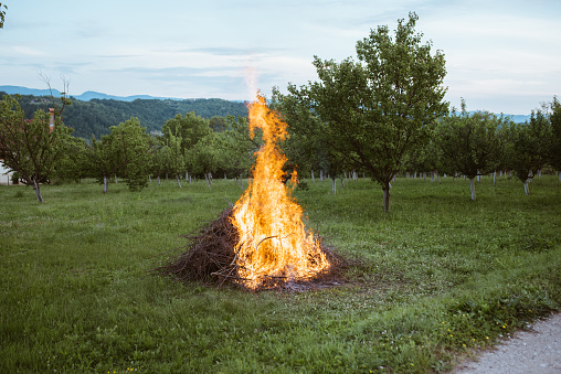 A pile of burning hay outdoors, in an open field.