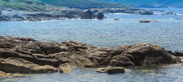 istock Stones and waves on the Costa da Morte 1378157926