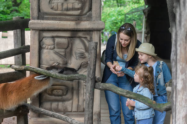 family on a walk in the zoo
