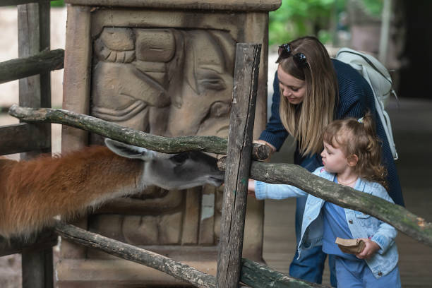 istock family on a walk in the zoo 1378174011