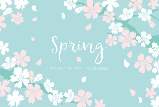 春をイメージした満開の桜の背景素材 - 春点のイラスト素材／クリップアート素材／マンガ素材／アイコン素材