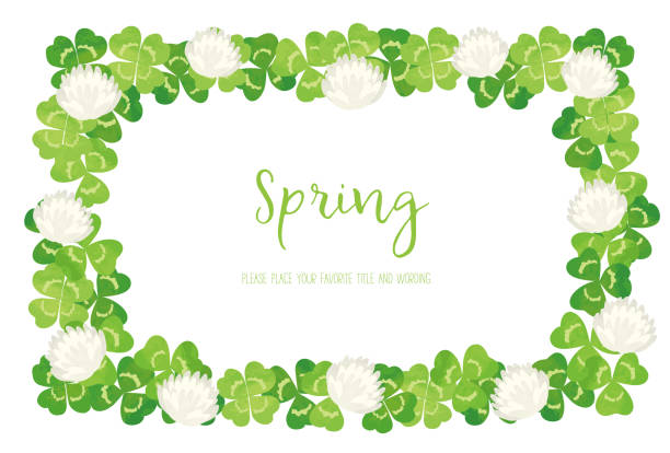 dekoracyjny materiał ramy z białej koniczyny z wizerunkiem wiosny - spring clover leaf shape clover sketch stock illustrations