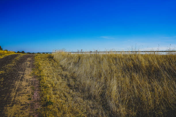 A very dry field in summer.
