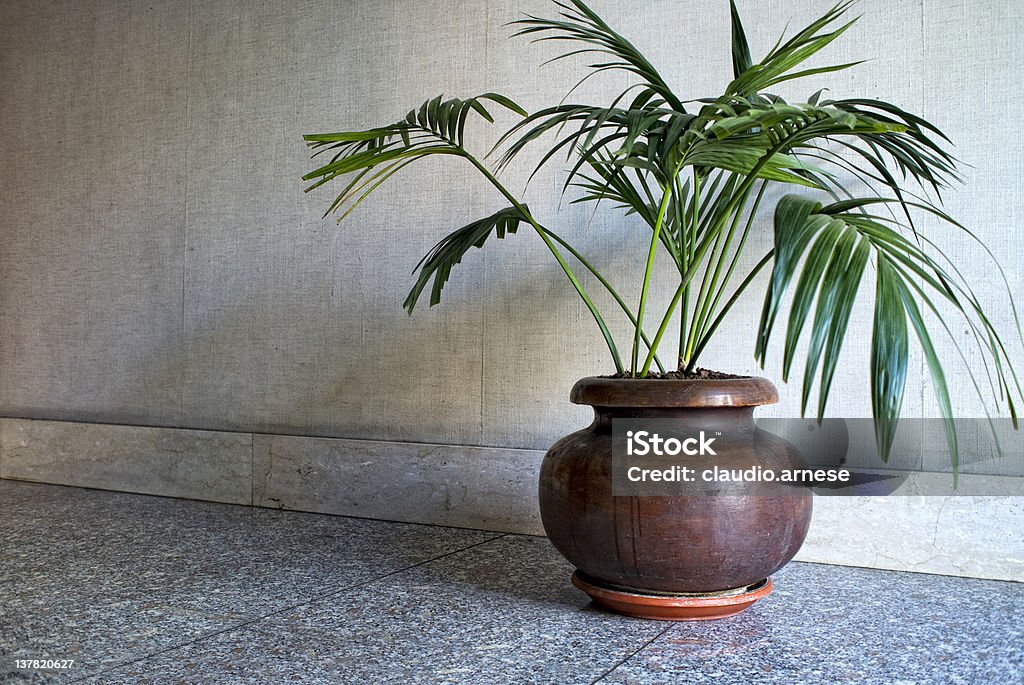 Wazon z Palm tree. Obraz w kolorze - Zbiór zdjęć royalty-free (Doniczka)