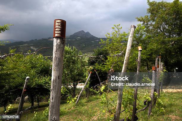 Vigneti Immagine A Colori - Fotografie stock e altre immagini di Agricoltura - Agricoltura, Ambientazione esterna, Azienda vinicola