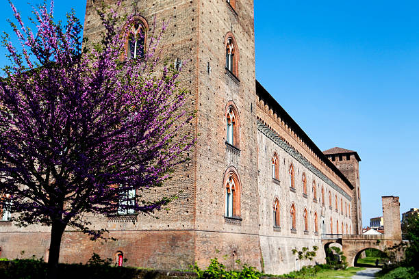 Castle of Pavia