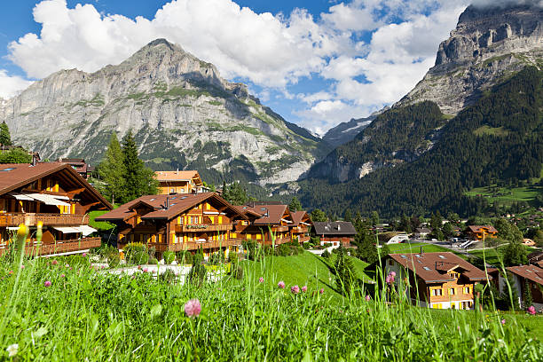 grindelwald village, svizzera - bernese oberland foto e immagini stock