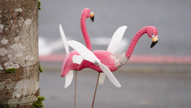 un hiver rude pour les flamants roses - plastic flamingo photos et images de collection