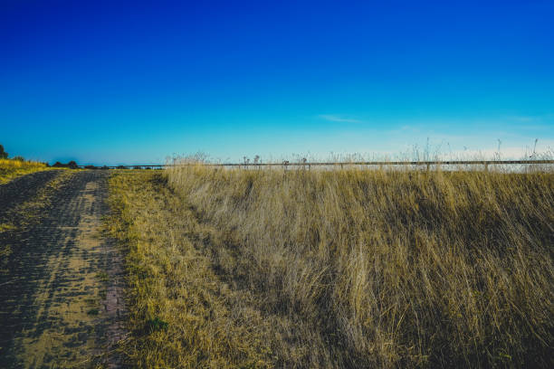 A very dry field in summer.