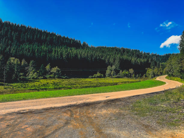 istock A road through the Black Forest in summer. 1378255078