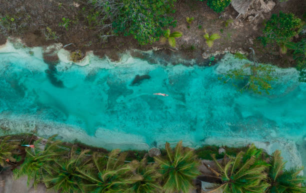 Aerial view of  woman swimming in Bacalar Lagoon in Mexico stock photo
