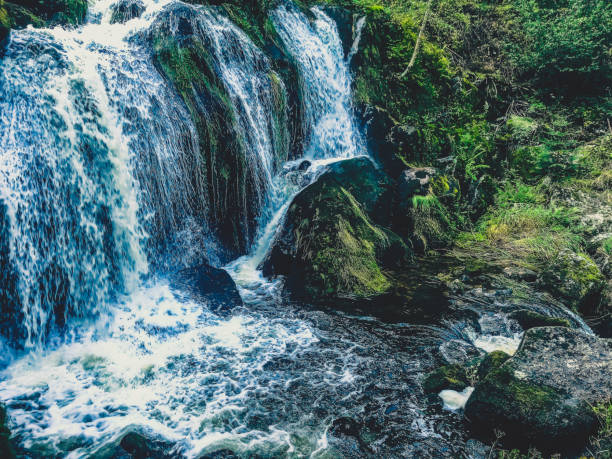 istock A small stony river with waterfalls in the Black Forest. 1378293831