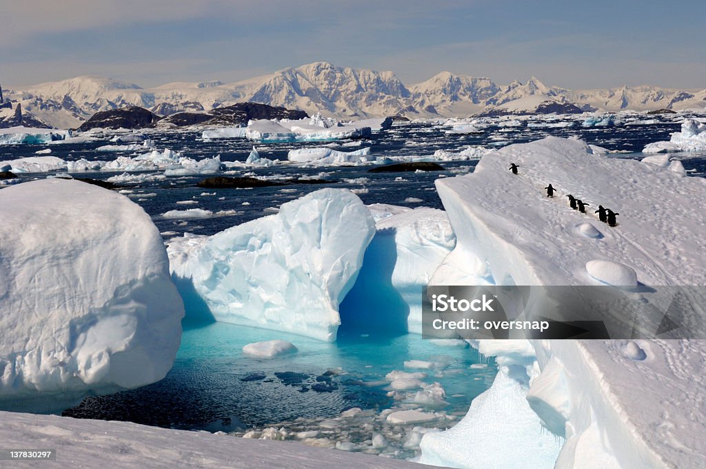 Antarctica - 免版稅南極洲圖庫照片