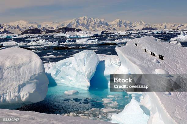 Antarctica 照片檔及更多 南極洲 照片 - 南極洲, 企鵝, 冰山 - 冰的形態