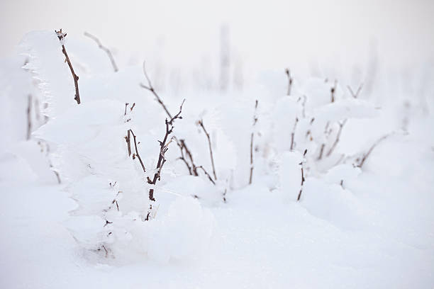 istock Beautiful winter in Poland 137832566