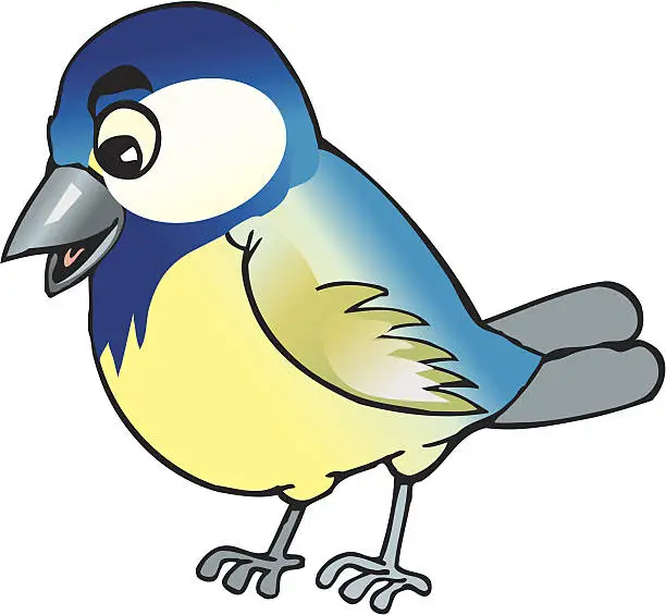 Vector illustration of tit