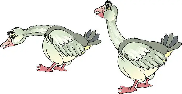 Vector illustration of gooses