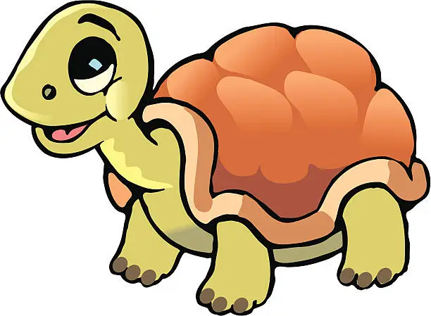 Vector illustration of baby tortoise