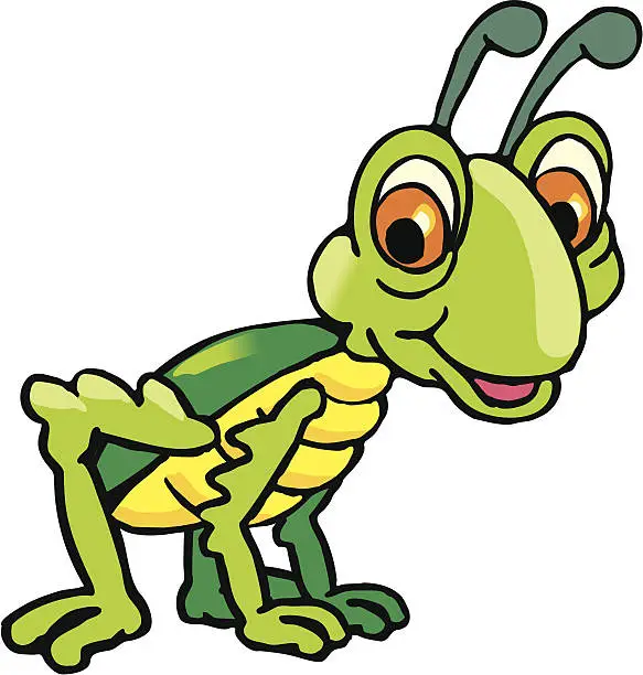 Vector illustration of grasshopper