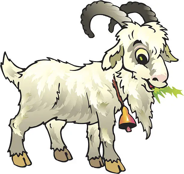 Vector illustration of nanny goat