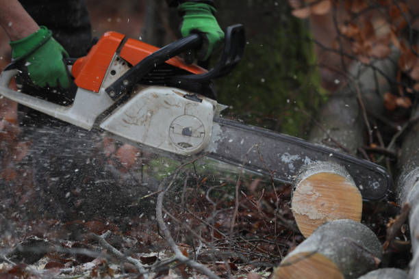 istock Lumberjack cuts and saws trees in the forest 1378341074