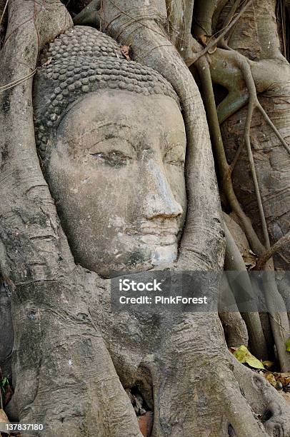 Testa Di Buddha - Fotografie stock e altre immagini di Cultura tailandese - Cultura tailandese, Impressionante, 80-89 anni