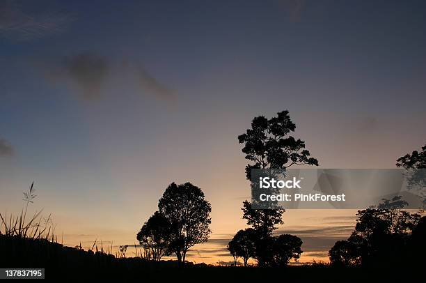 Silhueta - Fotografias de stock e mais imagens de Ao Ar Livre - Ao Ar Livre, Céu, Céu tempestuoso