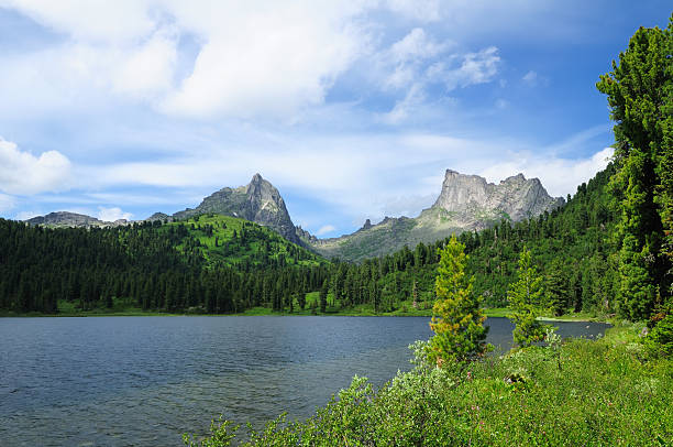 lake in die berge. - schreckhorn uncultivated tree summer stock-fotos und bilder