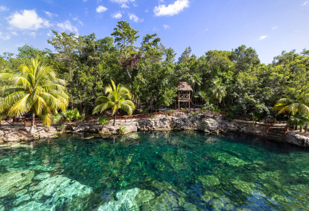destino turístico do méxico, cenote casa tortuga perto de tulum e playa del carmen - cancun - fotografias e filmes do acervo